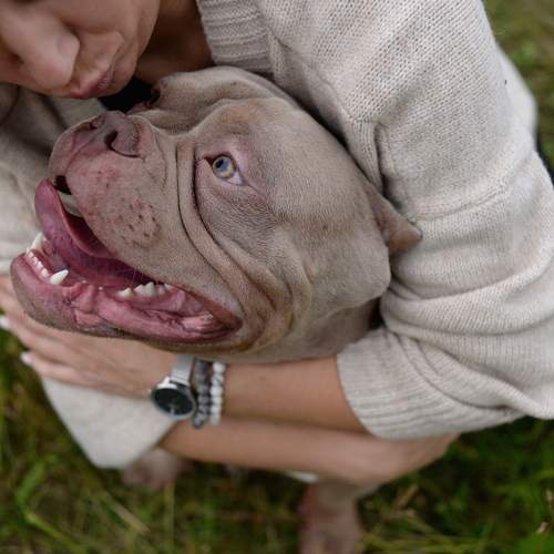 Photo #13280176