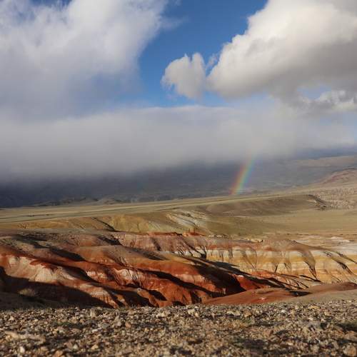 Photo #13280271