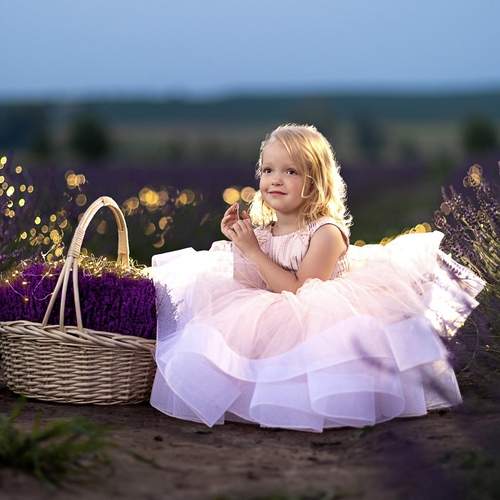 Photo #13280475