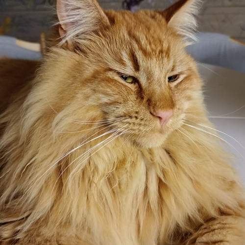 Photo #13280483