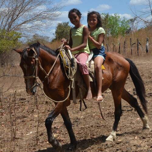 Photo #13280755