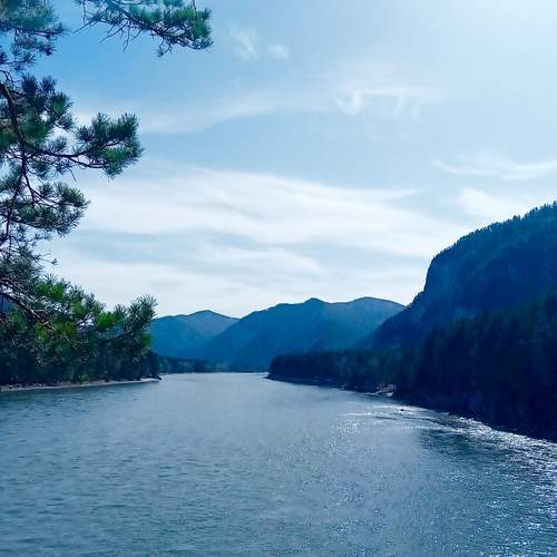 Photo #13280799