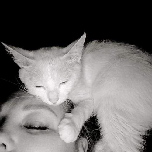 Photo #13280856