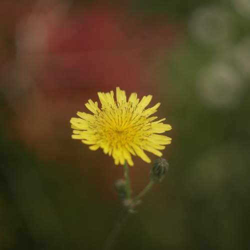 Photo #13280901