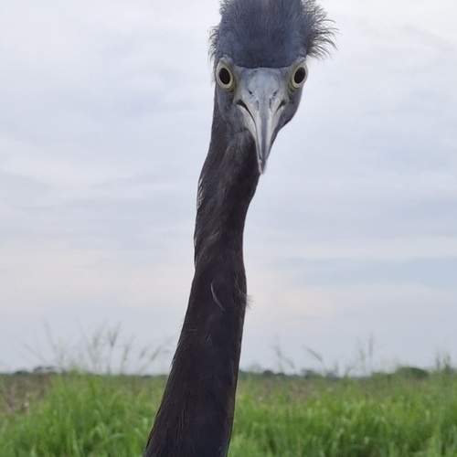 Photo #13280930