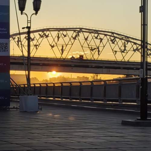 Photo #13280958
