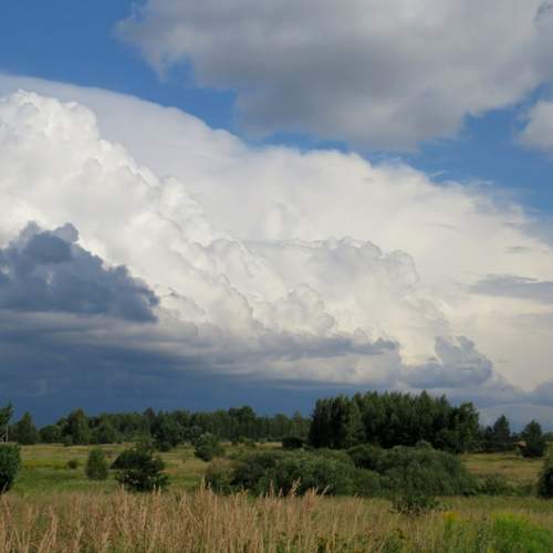 Photo #13280986