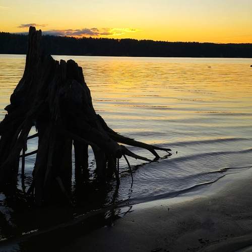 Photo #13281133