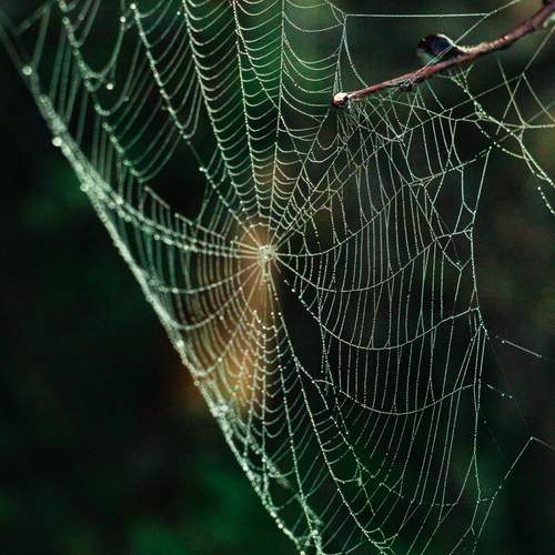 Photo #13281166