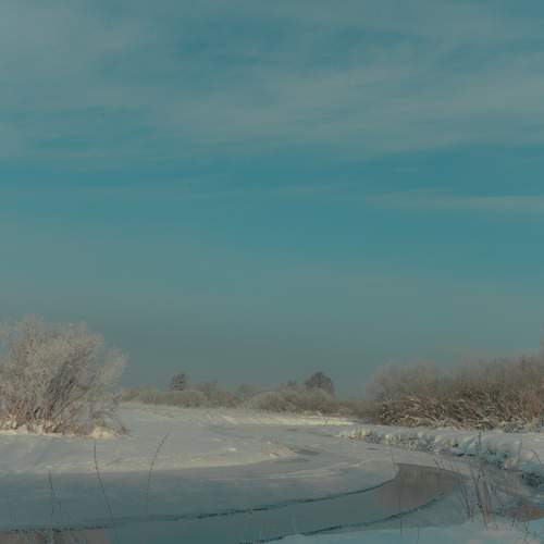 Photo #13281436