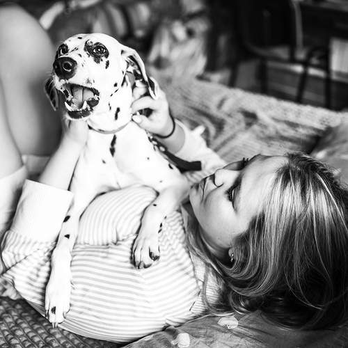 Photo #13281472
