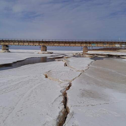 Photo #13281520