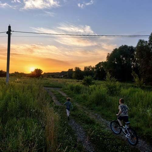 Photo #13281552