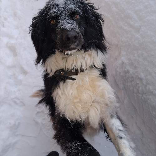 Photo #13281555