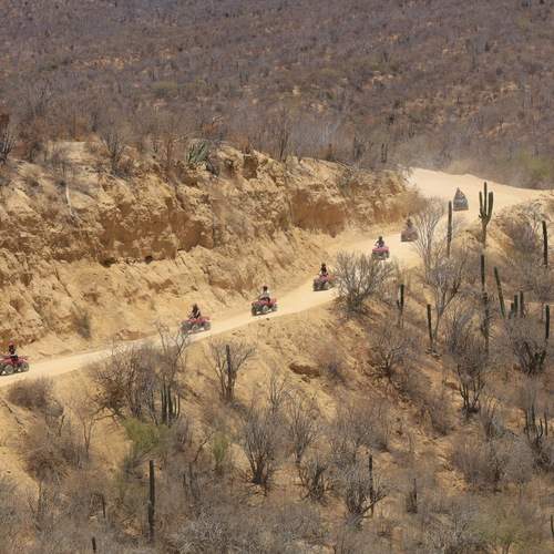 Photo #13281562