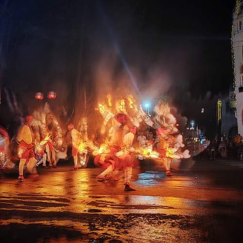 Photo #13281761