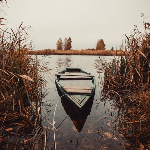 Photo #13281781