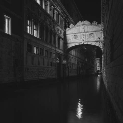 Фотография #13281899