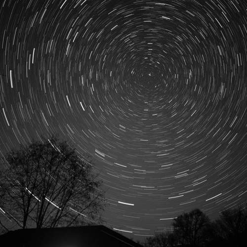 Photo #13282108
