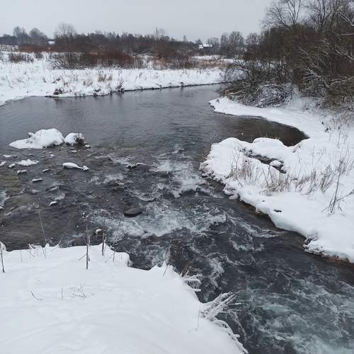 Photo #13282185