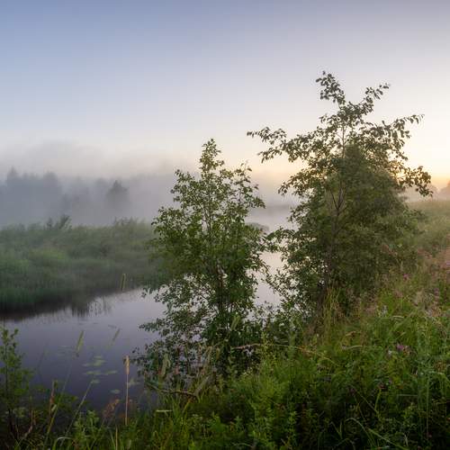 Photo #13282187