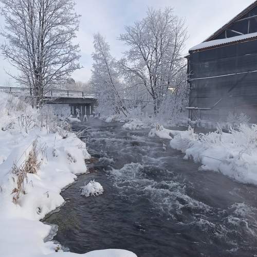 Photo #13282189
