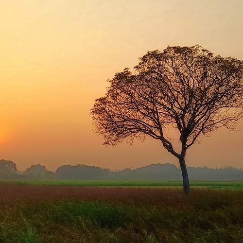 Photo #13282191