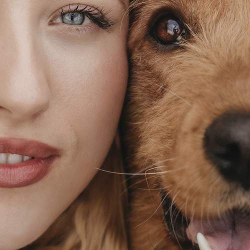 Photo #13282197