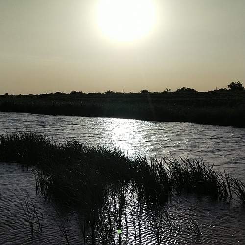 Photo #13282230