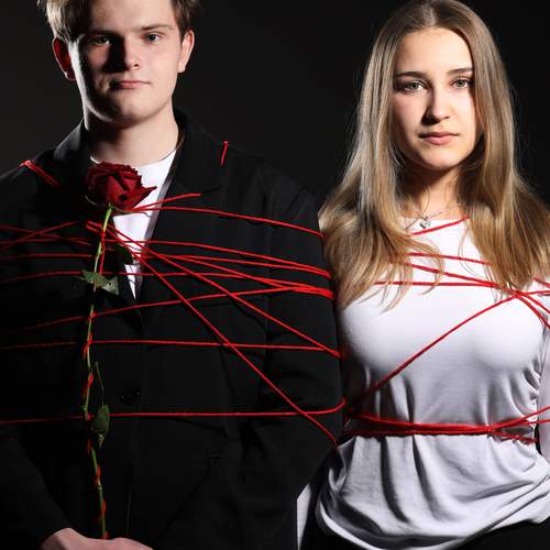 Photo #13282378