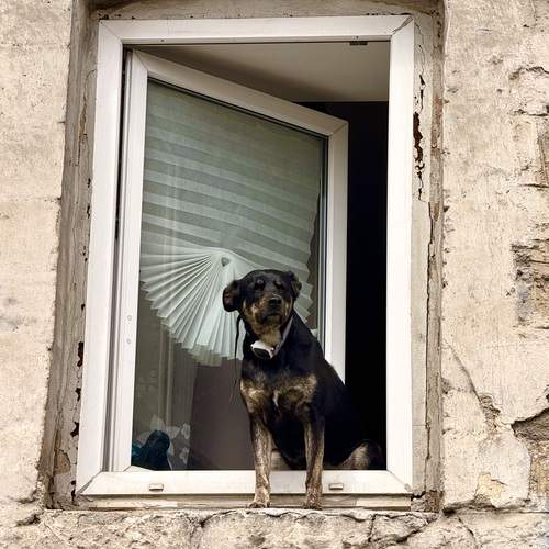 Photo #13282422