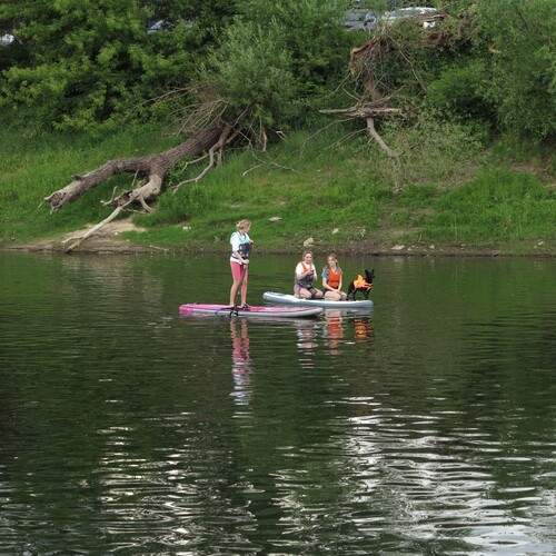 Photo #13282437