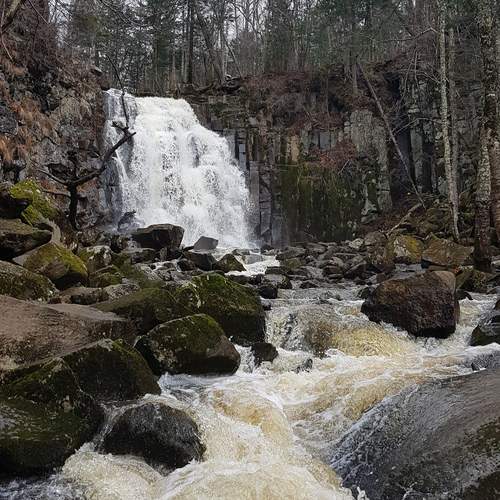 Photo #13282500