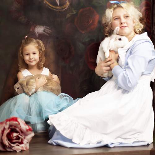 Photo #13282555