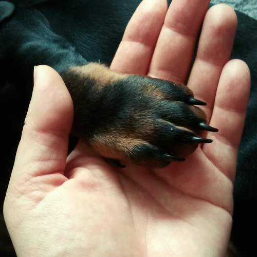 Photo #13282679