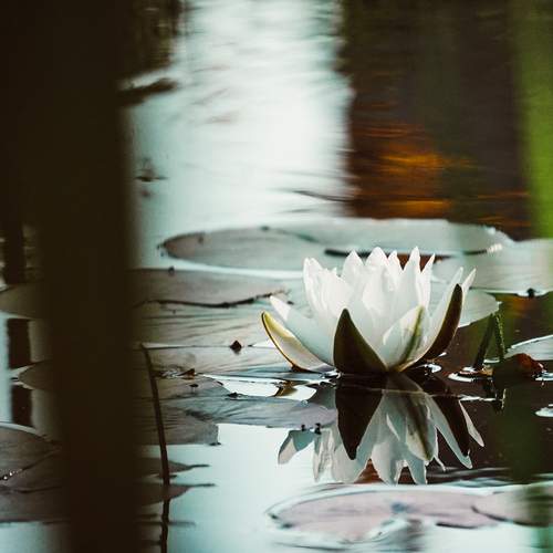 Photo #13282692