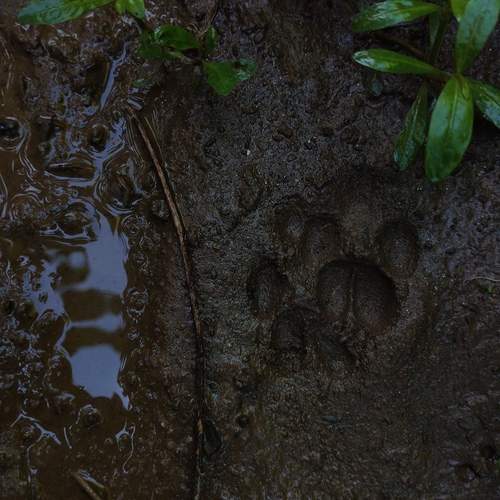 Photo #13282707