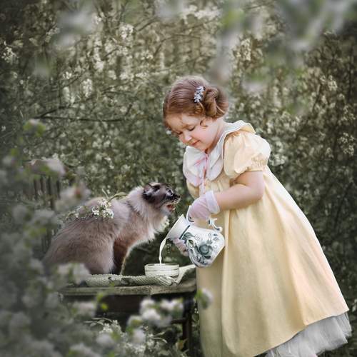 Фотография #13282714