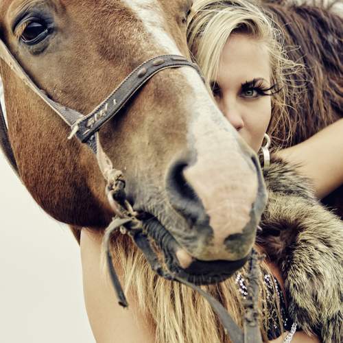 Photo #13282740