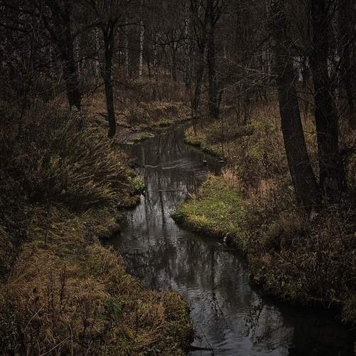 Photo #13282892