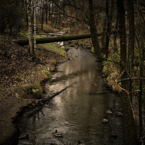 Photo #13282902
