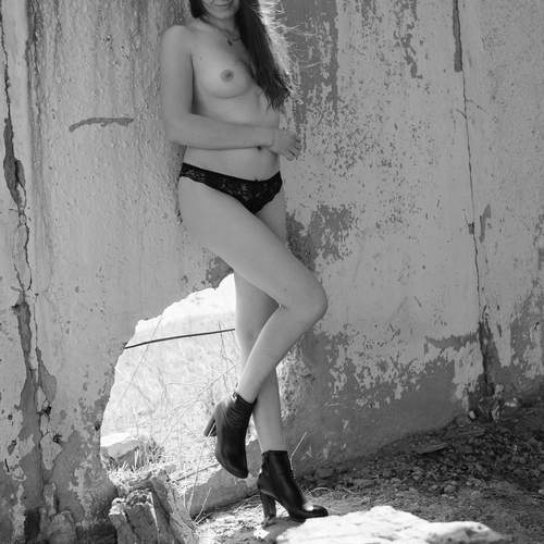 Photo #13283111
