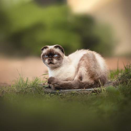 Photo #13283155