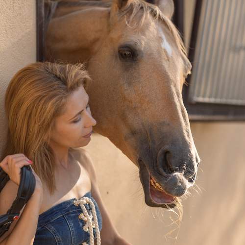 Photo #13283265