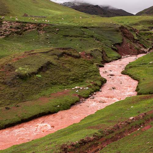 Photo #13283308