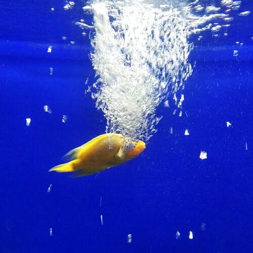 Photo #13283398
