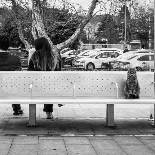 Photo #13283435