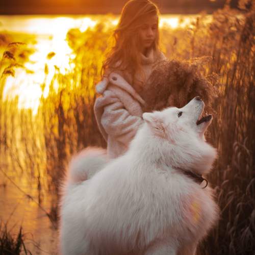 Photo #13283498