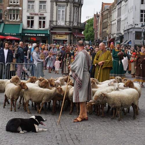 Photo #13283509