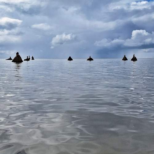 Photo #13283545